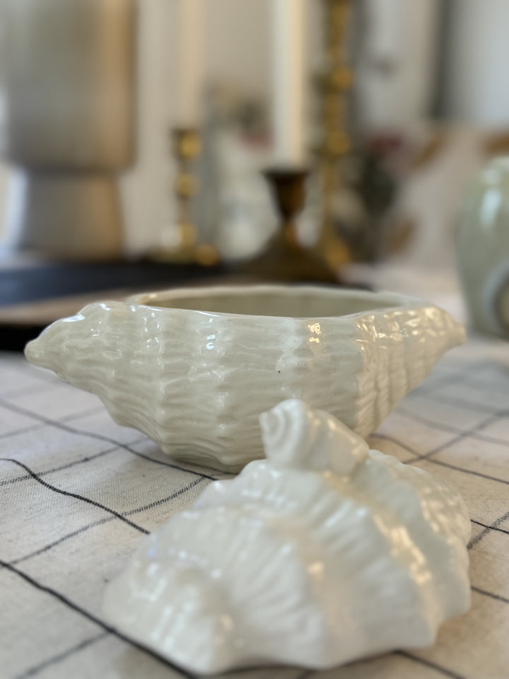 CONCH SHELL TRINKET BOX