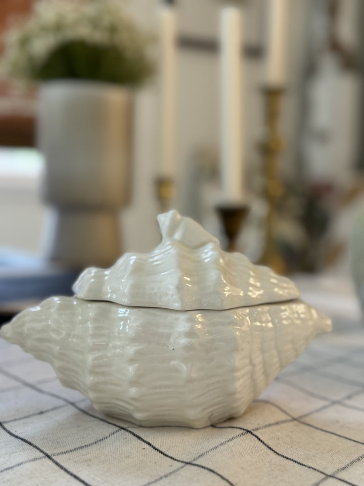 CONCH SHELL TRINKET BOX